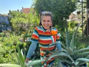 Die Aloe Vera zählt zu den besten Zimmerpflanzen, denn sie sorgt für ein Wohlfühlklima und gute Schlafqualität. Kräuterhexe Uschi Zezelitsch stellt aus der besonderen Pflanze eine Sonnencreme her.