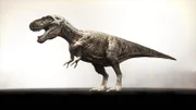 CGI: A Gorgosaur (a kind of Tyrannosaur) on smokey background.