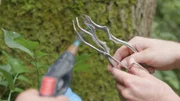 Auf der Jagd nach alten Hefestämmen: Bevor Proben aus der Baumrinde entnommen werden, muss das Werkzeug erst mit dem Bunsenbrenner desinfiziert werden.