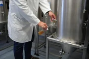 In der Forschungsbrauerei Weihenstephan wird ein Bier mit einem besonderen Hefestamm gebraut.