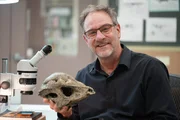 Der Paläobiologe Dr. Greg Erickson hält einen Dickhäuterschädel im University of Alaska Museum of the North in Fairbanks, AK. (Kredit: Caravan/Oscar Chan)
