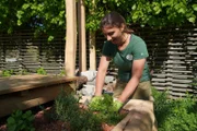 In der „Natur sucht Garten“-Anlage auf der Garten Tulln entsteht ein Kräuterhochbeet aus nachhaltigem Robinienholz.