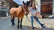 Mustang Brownie hat sich sehr gut in seiner neuen Heimat eingelebt. Er ist so brav und gelassen, dass Anna ihn allein zur Koppel führen kann.
