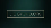 "Die Bachelors"-Logo