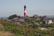 Die Sylter Rosen, Dünen, ein Leuchtturm und reetgedeckte Häuser machen die Sylter Landschaft aus.