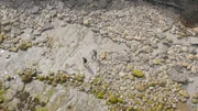 Dinosaurier-Fußabdruck-Fundstelle in Italien.