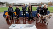 Diese Hunde suchen ein Zuhause. Um sie zu vermitteln, geht das Tierheim Duisburg auch ins Fußballstadion! Die Hunde dürfen für die Spieler von Rot-Weiß Oberhausen Spalier stehen.