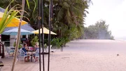 Whitney hat für eine Saison als Rettungsschwimmerin auf Saipan im Westpazifik gearbeitet und sich dabei in die Insel der Nördlichen Marianen verliebt.