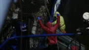Die Crew nimmt die Krabben aus dem Käfig.