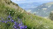 Landschaftspanorama Dolomiten.