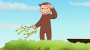 Picture shows Curious George.