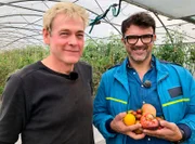 Tarik bei Tomatenzüchter Jörn Meyer.