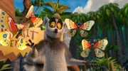 King Julien möchte seinem Volk zeigen, was es heißt ein echter Held zu sein und beginnt zum Spaß einen Kampf mit den Schmetterlingen.