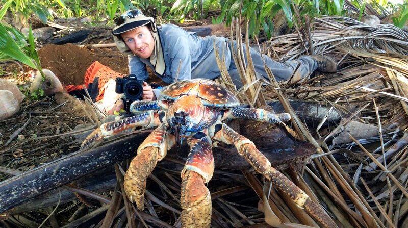 Die Weihnachtsinsel und der Palmendieb (D, 2018)