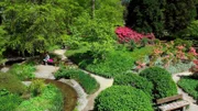 Wer Ruhe vom Großstadttrubel sucht, findet sie mitten in der Hamburger City, im Park Planten un Blomen.