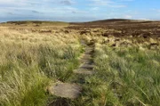 Im Norden des Northumberland-Nationalparks liegen die Cheviot Hills. Sie markieren die Grenze zu Schottland.