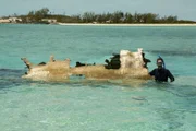 George Kourounis mit Schnorchel am Flugzeugwrack auf den Bahamas.