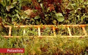 In der Nähe des Hauses der Toten finden die Ermittler eine Holzleiter. Hat sich der Täter mit dieser Zutritt zum Schlafzimmer des Opfers verschafft?