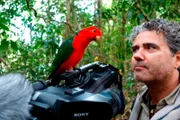 Fragt sich, wer hier neugieriger ist: Naturfilmer Jens Westphalen oder der Australische Königssittich?