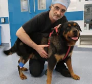 Noel Fitzpatrick