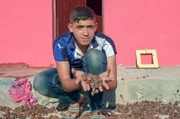 Ayoub schätzt die Arganfrucht-denn sie liefert Nahrung für die Tiere und sichert den Lebensunterhalt der Familie.