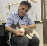 Noel Fitzpatrick