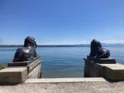 Zwei Löwenskulpturen liegen vor dem Midgardhaus am Starnberger See.
