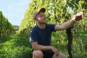 Nach Jahren in Frankfurt ist Martin Hirsch ins unterfränkische Kitzingen zurückgekehrt, um dort das elterliche Weingut zu übernehmen.