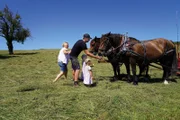 Ackern, Pflügen, Heu machen - all das erledigt Landwirt Tim Höbel mit seinen Kaltblütern. So konnten er und seine Frau Elisabeth ihre Leidenschaft für die Tiere zum Beruf machen. Die Töchter Johanna und Hermine wachsen mit den Pferden auf.
