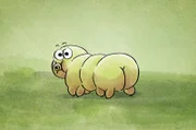 Das Bärtierchen hat acht Beinchen, kommt pro Monat aber nur rund drei Zentimeter voran.