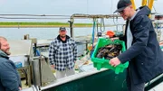 Gastronom Janis Kleemann holt frischen Hummer direkt vom Fischkutter im Norderneyer Hafen.