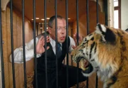 OB Herrenbrück (Frank Sieckel) hat aus Versehen den Tiger aus seinem Käfig entkommen lassen. Um sich zu schützen sucht er nun selbst Zuflucht hinter Gittern. Da der OB keinen Kontakt mit der Außenwelt aufnehmen kann, muss er nun bis zum anderen Morgen in dieser misslichen und zugleich gefährlichen Lage ausharren.
