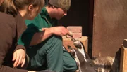ARD/NDR LEOPARD, SEEBÄR UND CO., Folge 99, "Eine Sensation im Bärengehege", am Donnerstag um 16:10 Uhr im ERSTEN. Dave Nelde füttert die Pinguine.