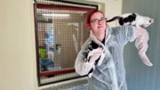 Wohin mit so vielen Katzen? Das Duisburger Tierheim-Team muss ganz schön kreativ werden, um die vielen gefundenen und abgegebenen Katzen und Katzenkinder unterzubringen.
