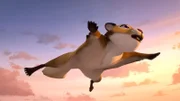 Nils entdeckt ein Flughörnchen, das ohne Flügel fliegen kann.