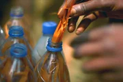 Auf den Märkten von Jaunde wird ein schmerzlinderndes und stimulierendes Extrakt aus der Rinde des Afrikanischen Pfirsichs angeboten.