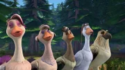 Die Gänse versuchen Hundegebell zu imitieren, um die Jäger abzuschrecken.