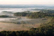 Der New Forest im Süden Englands ist der meistbesuchte britische Nationalpark.