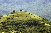 Wacholderheide vom Wald eingekesselt.