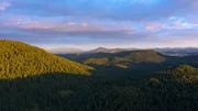 Wald so weit das Auge reicht, so dicht bewaldet zeigt sich Mitteleuropa nur im Süden Sloweniens.