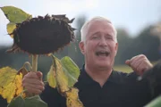 Alexander Herrmann auf einem Sonnenblumenfeld bei Kitzingen.