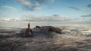 Das Wrack der Dornier in den Goodwin Sands ist leergepumpt. (National Geographic)