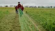 Lina, Samuel, Leonie (v.l.n.r.) stellen beim Feldhamsterschutzprojekt einen Zaun auf einem Feld bei Leipzig auf.