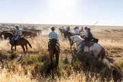 Die „Saca de las Yeguas“ hat eine jahrhundertealte Tradition – 200 Männer und wenige Frauen, suchen im „Parque Nacional de Doñana“ nach Wildstuten und treiben sie zum Pferdemarkt von Almonte, wo sie zum Verkauf angeboten werden.