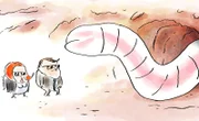 Gegen Parasiten wie diesen Wurm werden Spezialeinheiten, die sogenannten Eosinophile, eingesetzt.