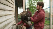 Emilio hält Bussard in der Wildvogelauffangstation Dresden.
