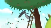 Beim Kirschenpflücken möchte Wolf hoch hinaus.