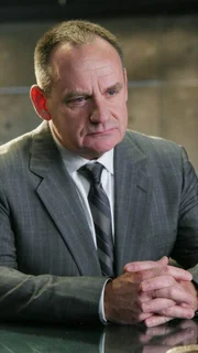 Captain Brass (Paul Guilfoyle) verhört gemeinsam mit Catherine einen Verdächtigen, doch ist er tatsächlich der gesuchte Serientäter?