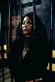 Ein Serien-Vergewaltiger treibt sein Unwesen. Bundesstaatsanwältin Claudia Williams (Pam Grier) schirmt den einzigen Verbindungsmann zum Täter von den Detectives ab, da er im Zeugenschutzprogramm ist.