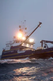 Saga boat.